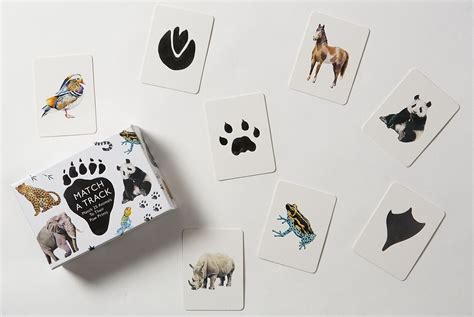 Image result for Match a Track Memory Game