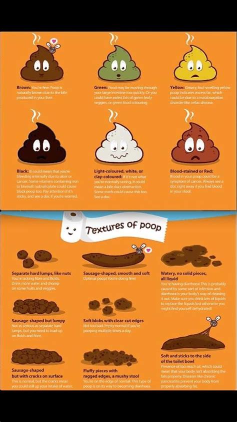 Poop Types 的图像结果