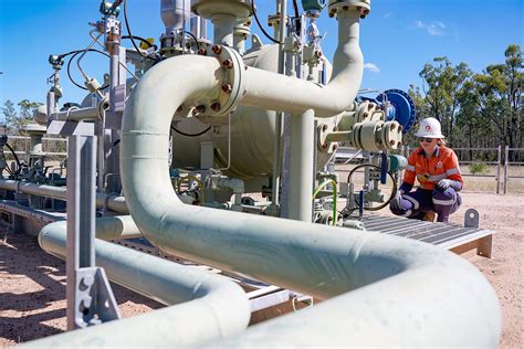 Producers In The Savanna