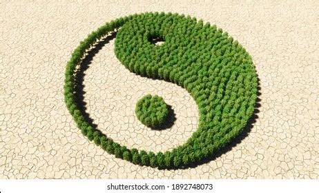 Image result for Complementary Color Harmonies