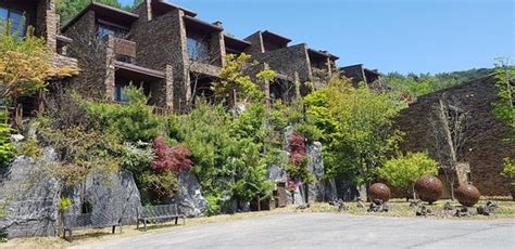 RESOM FOREST (Jecheon) - Spa Reviews, Photos, Rate Comparison - Tripadvisor
