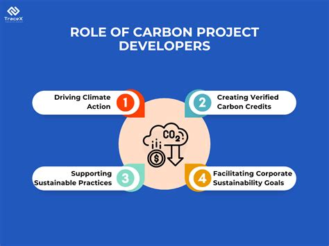 Image result for Carbon Project Developer Icon