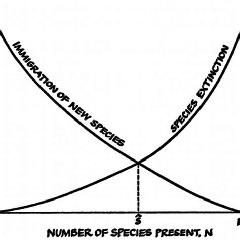 Image result for Dynamic Equilibrium Population Graph