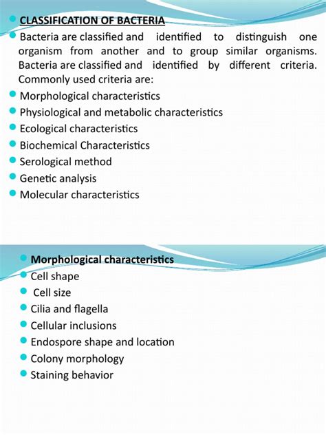 Image result for Types of Bacteria Classification
