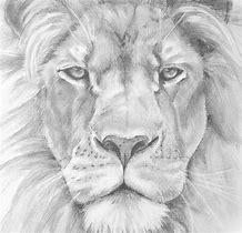 online drawing courses with certificates
