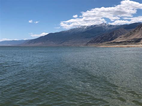 Walker Lake Working Group