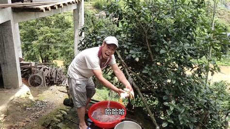 江西赣州连续干旱天气，鱼塘都没水了，养点鱼不容易，太难了 - YouTube