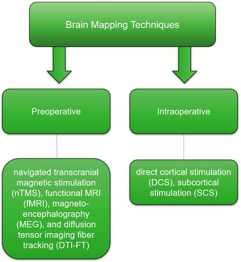 Surgical Treatment of Glioblastoma: State-of-the-Art and Future Trends