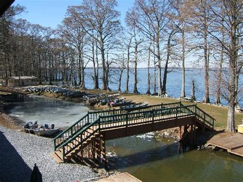 BLUE BANK RESORT (Hornbeak) - Lodge Reviews, Photos, Rate Comparison ...