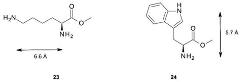 Synthesis and Properties of Bis-Porphyrin Molecular Tweezers: Effects ...