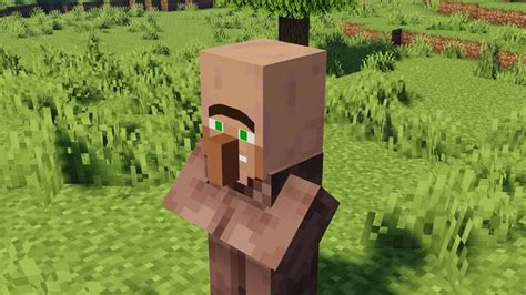 Image result for Minecraft Animation Villager Life