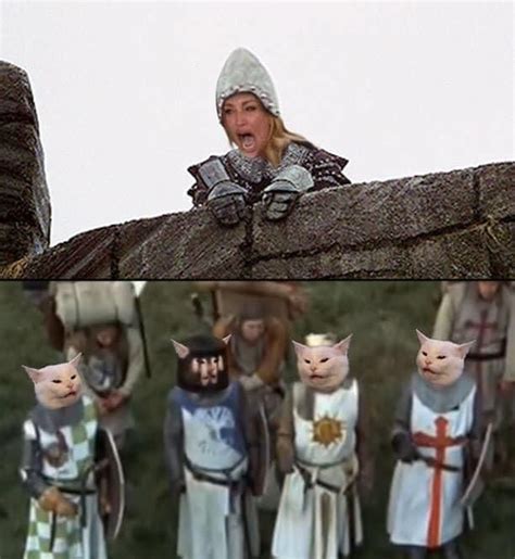 Monty Python Cat Beating 的图像结果