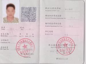 证书样式 - 芜湖网站