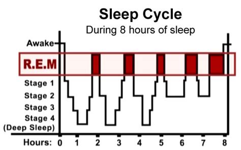 Image result for Number Data Visualization in JavaScript