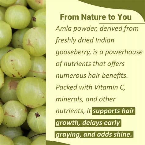 Natural Amla Powder For Strong, Shiny Hair | MINATURE – minaturewellness