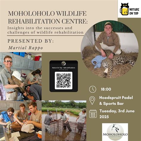Moholoholo Wildlife Rehab Centre: Insights into the successes and ...