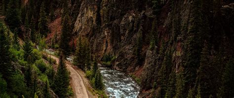 Download wallpaper 2560x1080 road, river, aerial view, forest, cliff ...