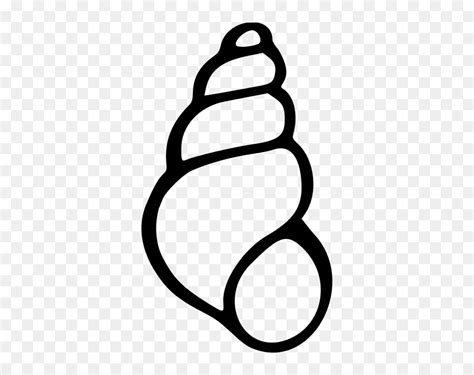 Seashell Drawing Tutorial 的图像结果