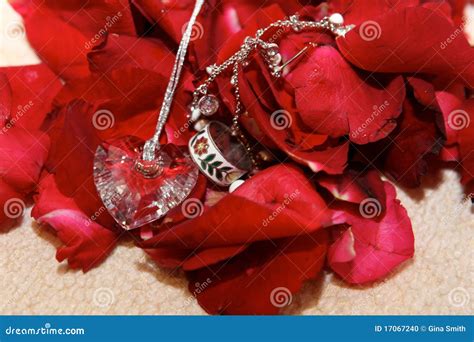 Wedding day jewelry stock photo. Image of beauty, band - 17067240