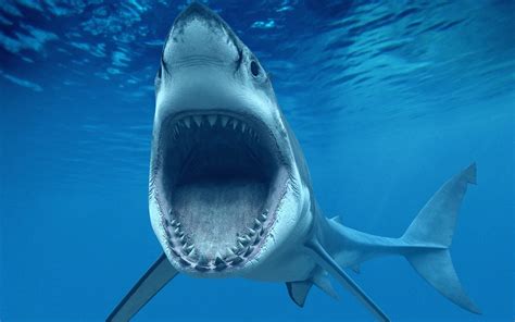 Majestic Great White Shark: Apex Predator of the Ocean Depths