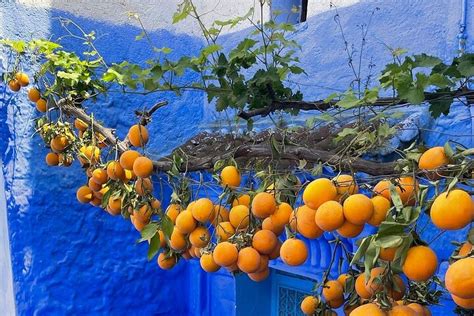 MOROCCO GROUP TRAVEL Guide (2026) All You Need to Know BEFORE You Go ...