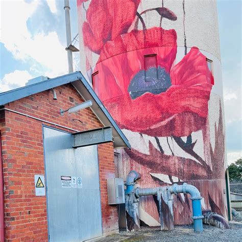 TATURA WATER TOWER ART (2024) All You Need to Know BEFORE You Go (with ...