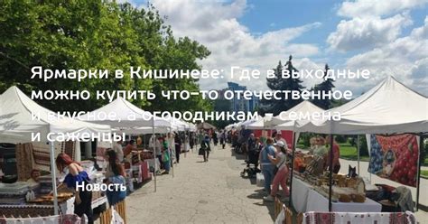 Ярмарки в Кишиневе: Где в выходные можно купить что-то отечественное и ...