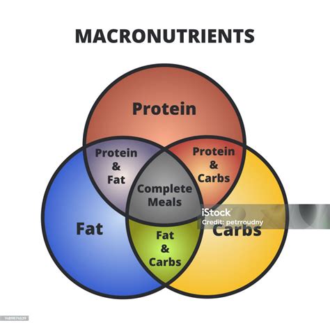 Image result for Macronutrients Graphics