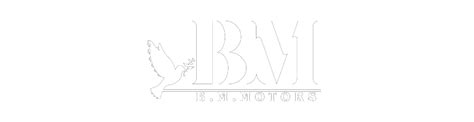 B.M. MOTORS
