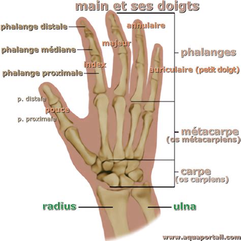 Main Family Onlyfans Exclusive Creator Content #862