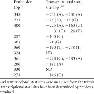 Promoter Region Models 的图像结果
