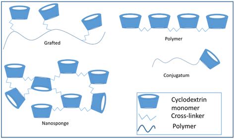Cyclodextrins in Drug Delivery Systems and Their Effects on Biological ...