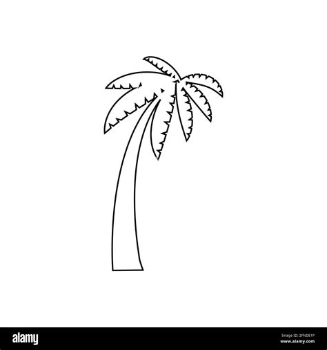 Palm Tree Black And White Outline