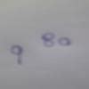 Give an example each ofa binomial of degree 45 and monomial of degree ...