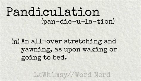 Image result for What Is Pandiculation