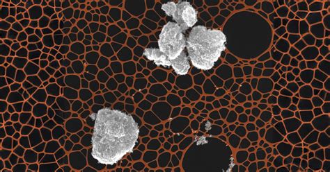 Image result for Particulate Testing Standards