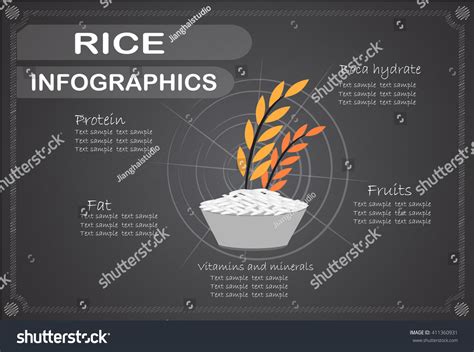 6 Key Insights on Rice Expiry: The 2025 Guide to Does Rice Expire