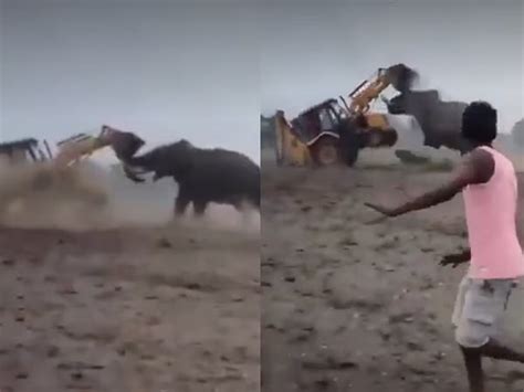 West Bengal: Elephant got angry after being provoked by people, clashed ...