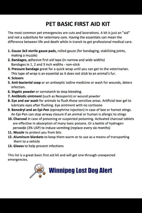 Image result for Basic First Aid for Pets