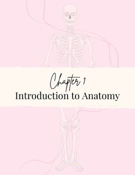 Anatomy Movement Terms Teaching Resources | TPT