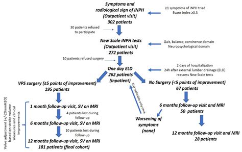 Nph Hydrocephalus Treatment