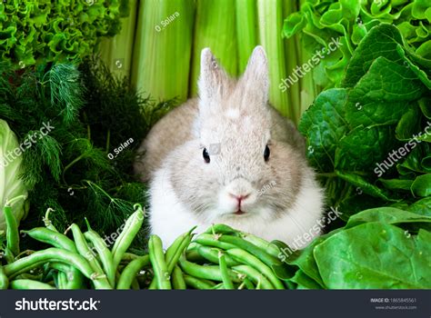 Decorative Rabbit On Greens Background Cute Stock Photo 1865845561 ...