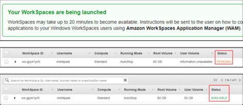 AWS Workspaces Client 的图像结果