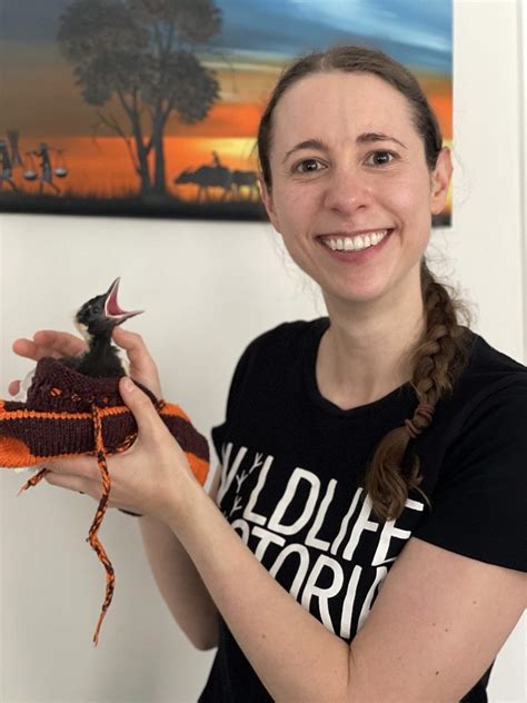 Dr Sarah Penturn | Wildlife Victoria