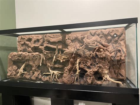 Drylok Background Update : r/paludarium