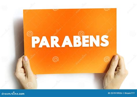 Parabens Portuguese Vector Handwritten Lettering. Translation ...