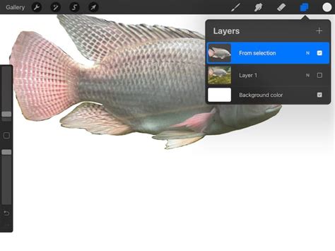 Image result for Remove Objects From Photo Procreate