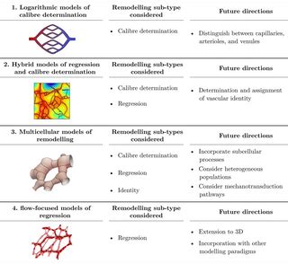 Image result for Multi Dynamic Vena Modeling