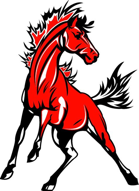 State Required Information – Midland Mustangs