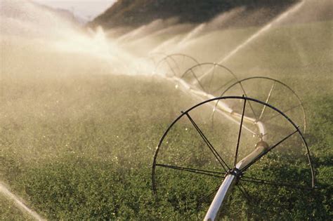 南阳市卧龙区陆营镇高标准农田项目 农业灌溉实现刷卡即出水-河南商报